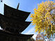 松本浅間温泉　ホテル玉之湯さんの前山寺への投稿写真4