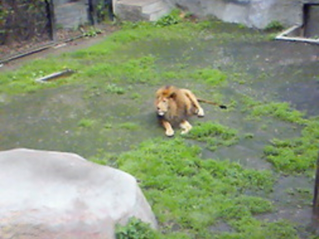 ���R������