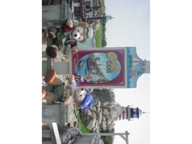 �����f�B�Y�j�[�V�[(R)