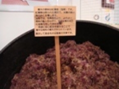 ꂳ̂ĂςσK[fEЂ܂E[@jւ̓eʐ^1