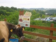 ~̈ɉ̗NNÂt@[̓eʐ^1