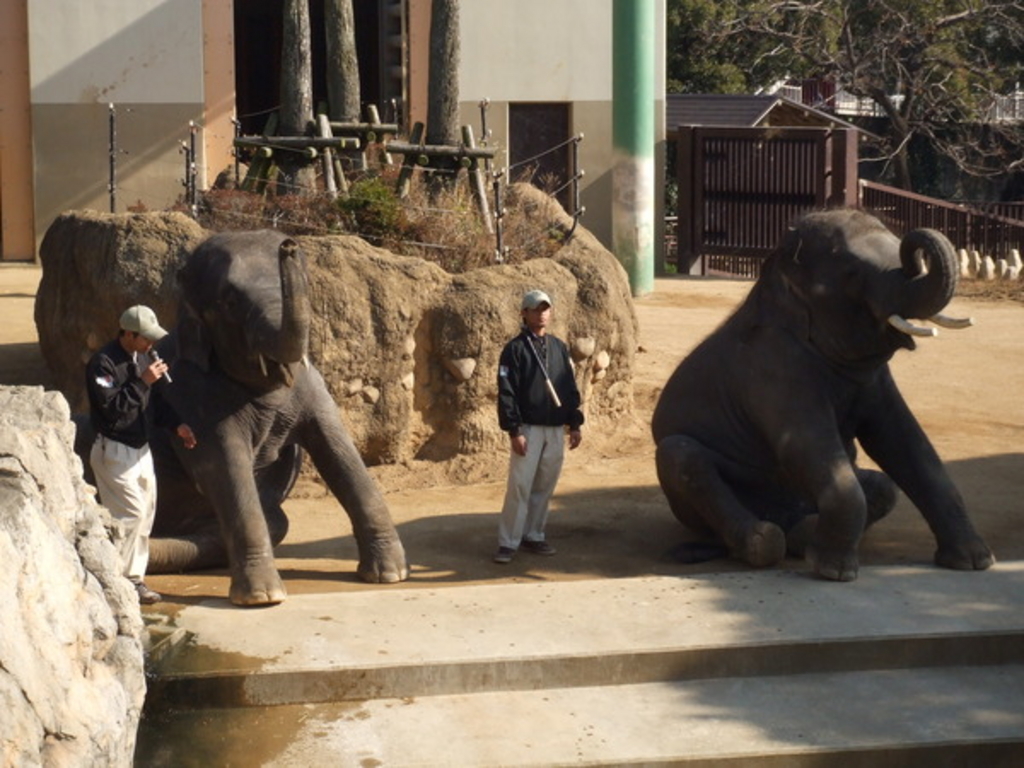 宮崎市フェニックス自然動物園