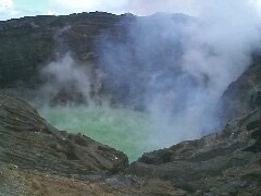 ËhxΌihRjւ̓eʐ^1