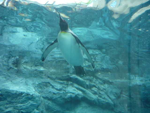 ���R������