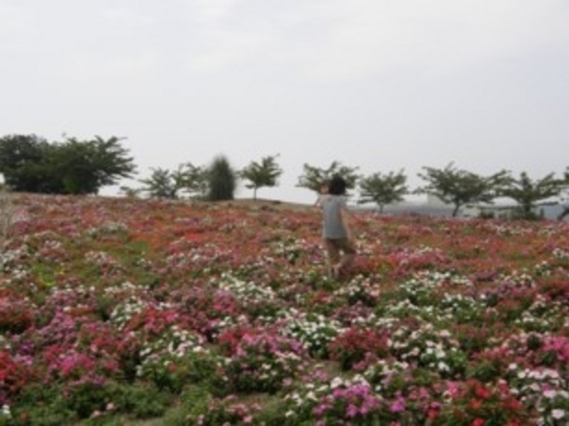 �ό��_���ԂЂ��