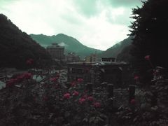 �G�~����񂳂�̂��݉���ւ̓��e�ʐ^1