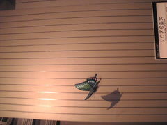 䂫̂Ƃ[Ƃ҂ւ̓eʐ^1