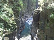 с[Ƃ̍w薼uȋv̓eʐ^1