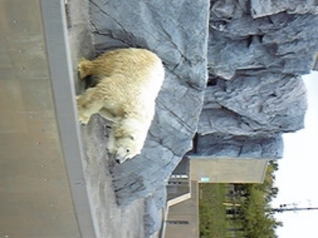 ���R������