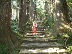 �̂�ۂ񂳂�̌F��Ó��@����ւ̓��e�ʐ^1