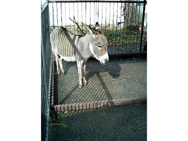 �b�{�s�V�T��������������