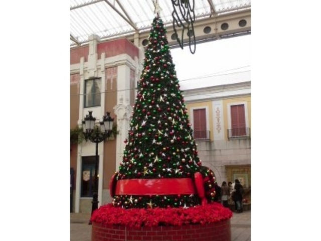 �u���X�y�C�����p���P�G�X�p�[�j��