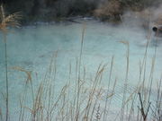 hiro���񂳂�̎E�����Î��R�V�����̓��e�ʐ^1