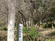 񂿂񂳂̔ˌÕ̓eʐ^1