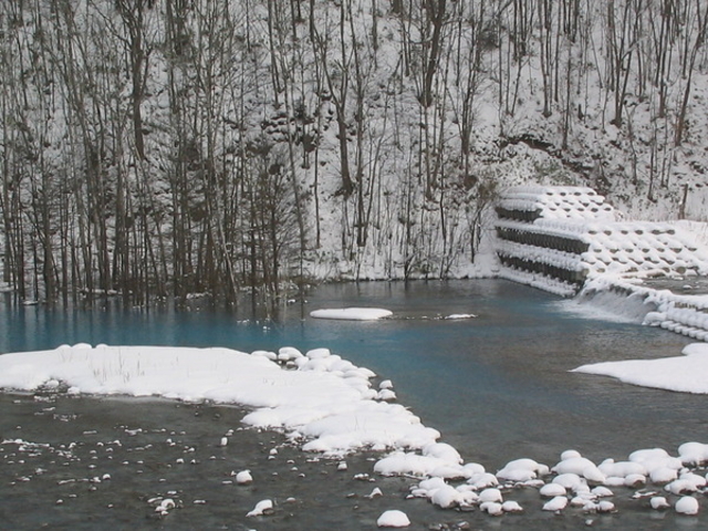 �т�����������ό��g��