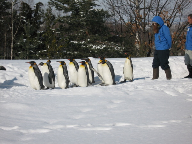 ���R������