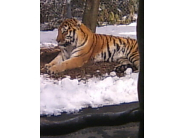 �x�m�T�t�@���p�[�N