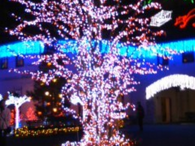 �����h�C�c��