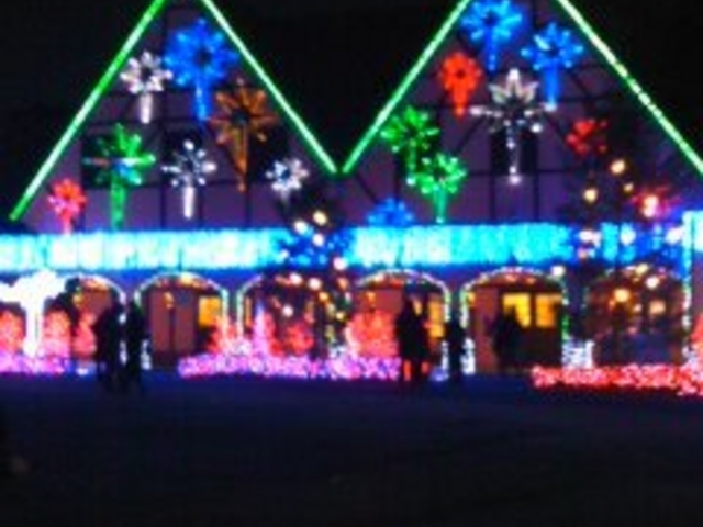 �����h�C�c��