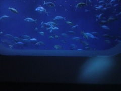 啪}[pXفu݂܂v̎ʐ^1