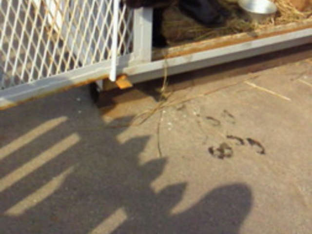 �T�z�����]�[�g�@�x�A�E�}�E���e��