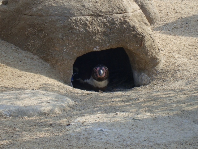 ���֎s�������̂��������فE�C����