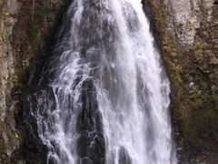 ̂̂񂳂̔ԏւ̓eʐ^1