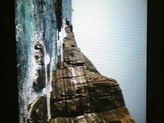 ЂȂ̐{ztFXւ̓eʐ^1