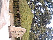 񂳂̒ÖۉEۋTpق̓eʐ^1