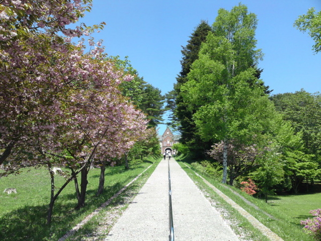 �����V�g�[���̐����C���@�i�g���s�X�g�C���@�j