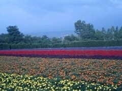 �t�@�[���x�c�̎ʐ^1