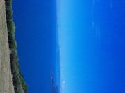 �Ȃ�����̐���~�i�R��������s�j�̓��e�ʐ^1