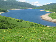 kakochan̖씽΂̓eʐ^1