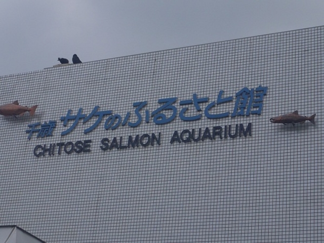 �T�P�̂ӂ邳�Ɛ�ΐ�����