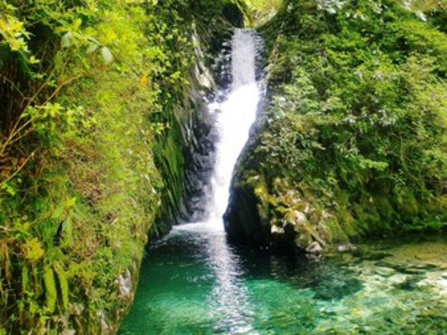 �������˂Ƃ�