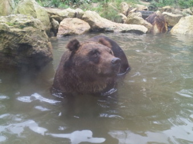 �T�z�����]�[�g�@�x�A�E�}�E���e��