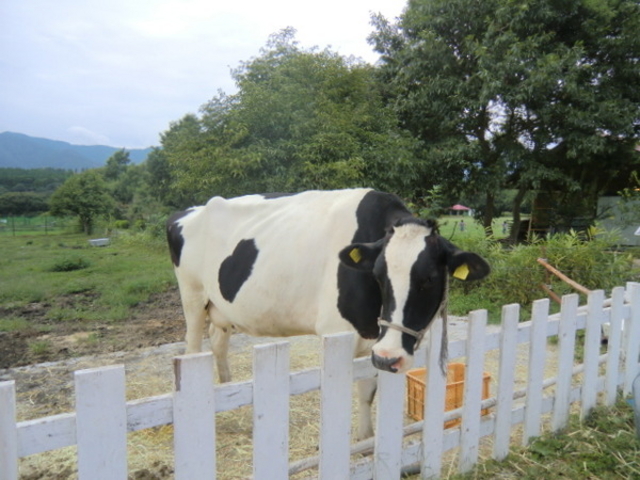 �x�m�~���N�����h