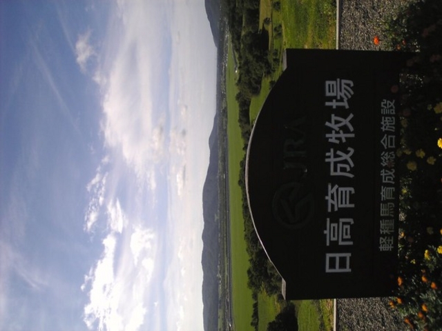 JRA�����琬�q��