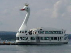 ڂ񂳂̎RΗVD ̌΂ւ̓eʐ^1