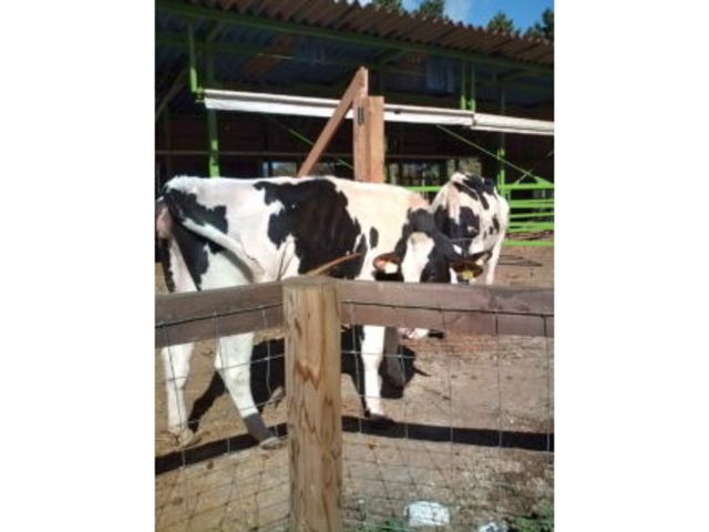 �ɍ��ۃO���[���q��