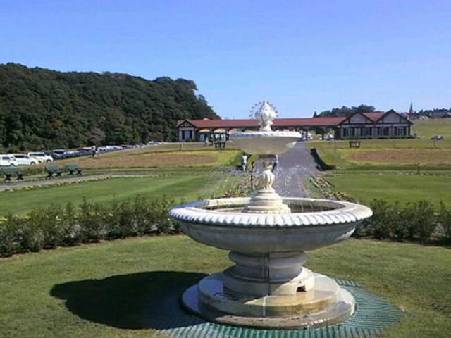 �����h�C�c��