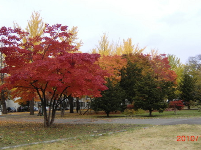 �k��C�`���E����