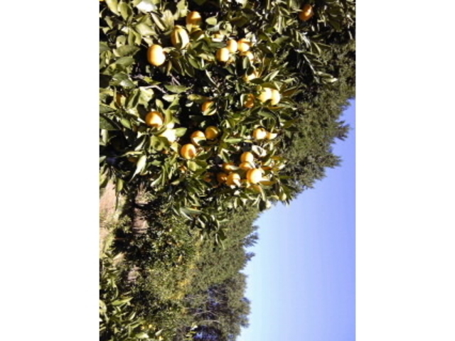 Ђ邳̕zEт݂R̓eʐ^1