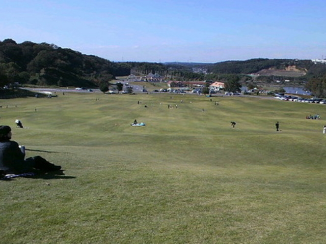 �����h�C�c��