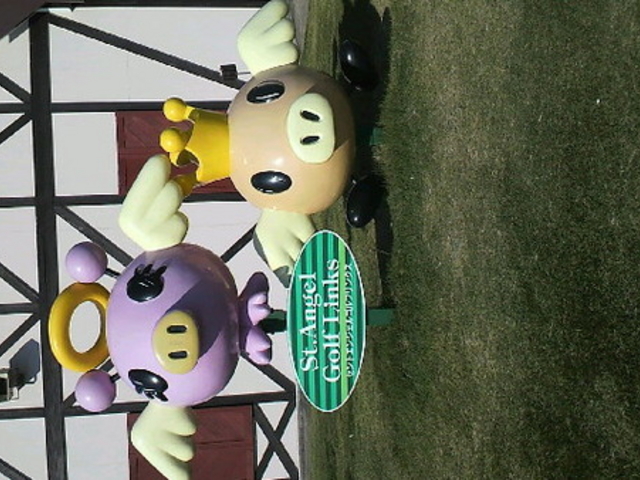 �����h�C�c��