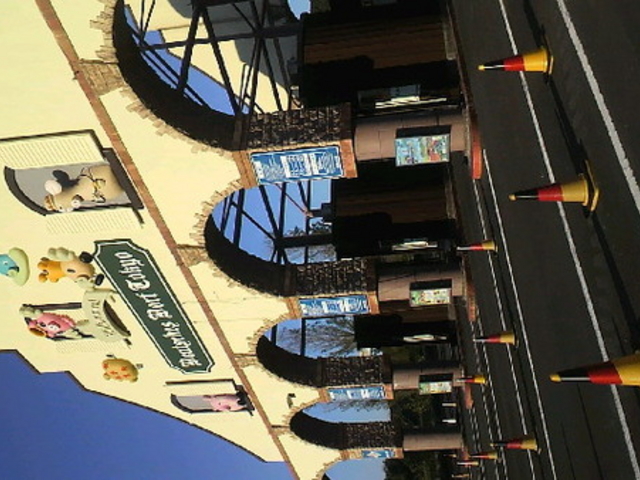 �����h�C�c��