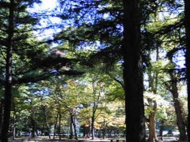 �~�R������