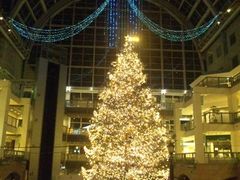 Tb|t@Ng[ NX}X C~l[V̎ʐ^1