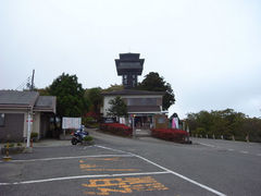 petshop̂܂XJC^[ւ̓eʐ^1