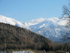 V[񂳂̐rւ̓eʐ^1